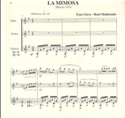 La Mimosa